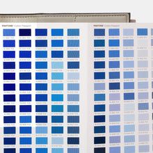 Load image into Gallery viewer, Pantone Fashion Home Cotton Passport FHIC200C product page detail image