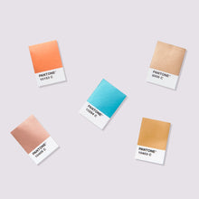 Load image into Gallery viewer, Pantone Metallic Chips Book GB1507B product image chips