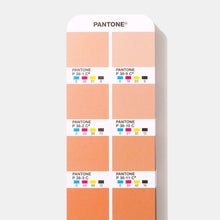 Load image into Gallery viewer, Pantone cmyk guide set coated uncoated GP5101B close up