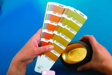 Load image into Gallery viewer, Pantone Plus Premium Metallics Guide Coated GG1505 lifestyle image